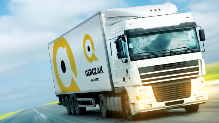 Rozbudowa zakładu wylęgu indyków w Lasecznie